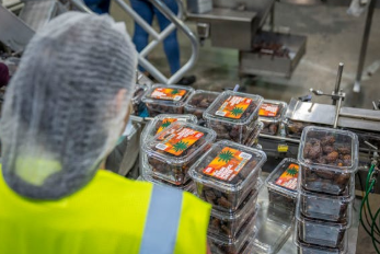 industrie packaging